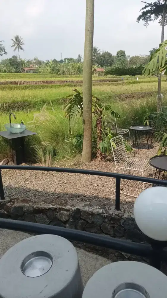 Dicari ART Berpengalaman