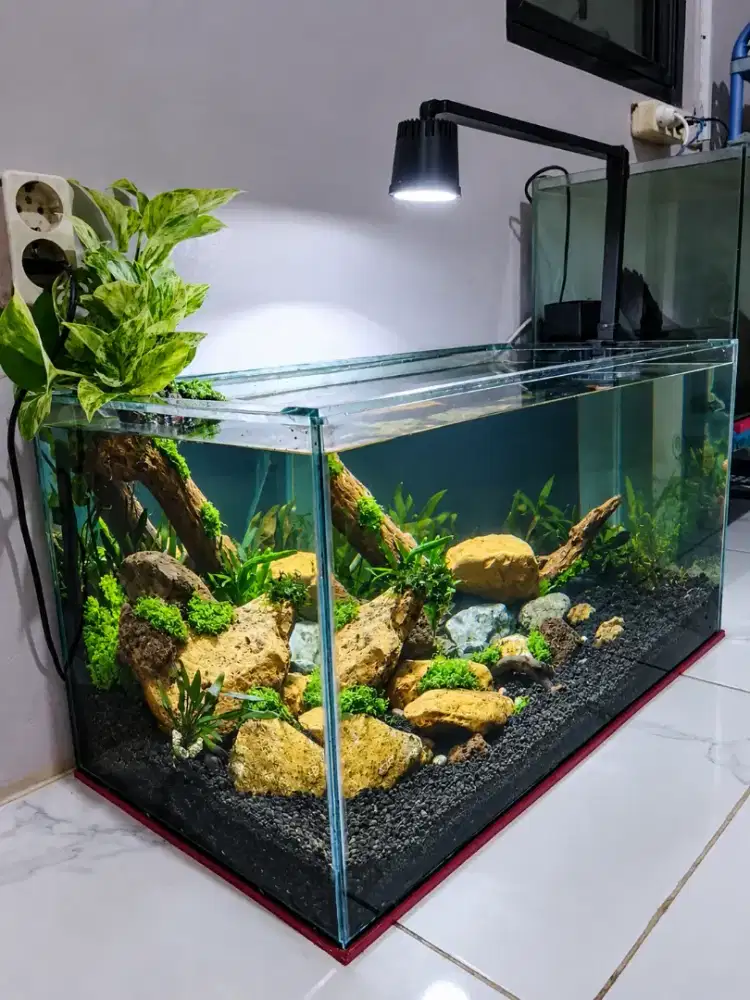 Aquarium New 70x35x35+hiasan+filter+ikan