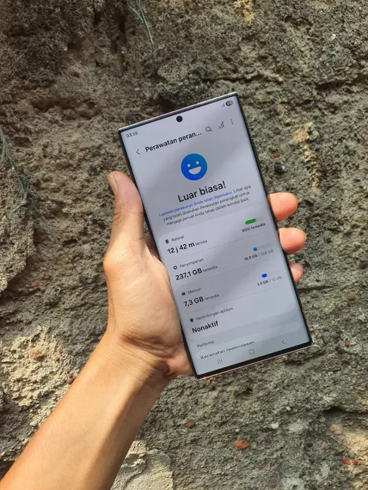 Samsung S22 Ultra Sein