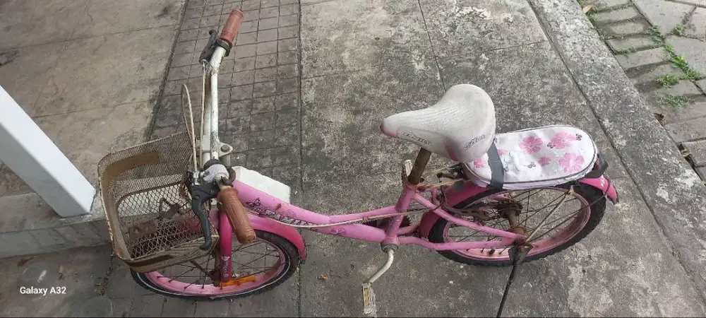 Sepeda anak warna pink