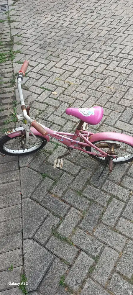 Sepeda anak cewe pink