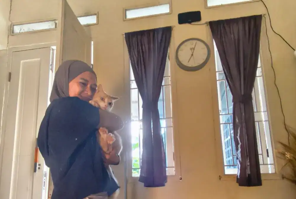 Mencari pekerjaan merawat kucing dan anjing daerah Depok -Cibinong