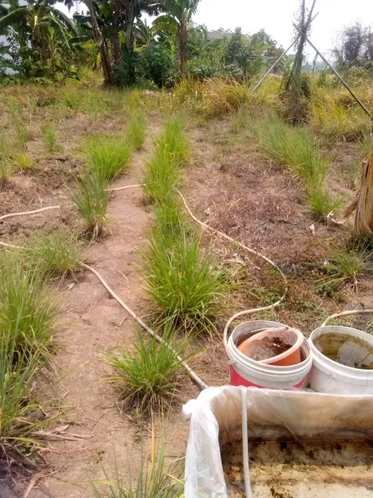 Dijual kavling seluas 60 m2