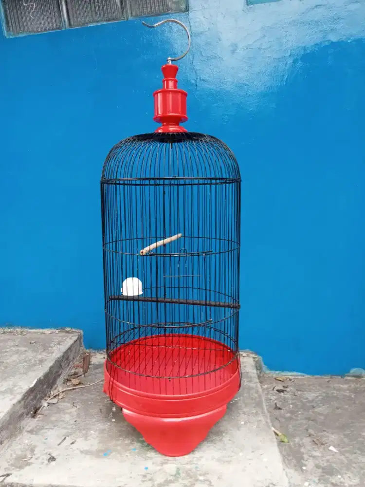 Sangkar burung Lovebird