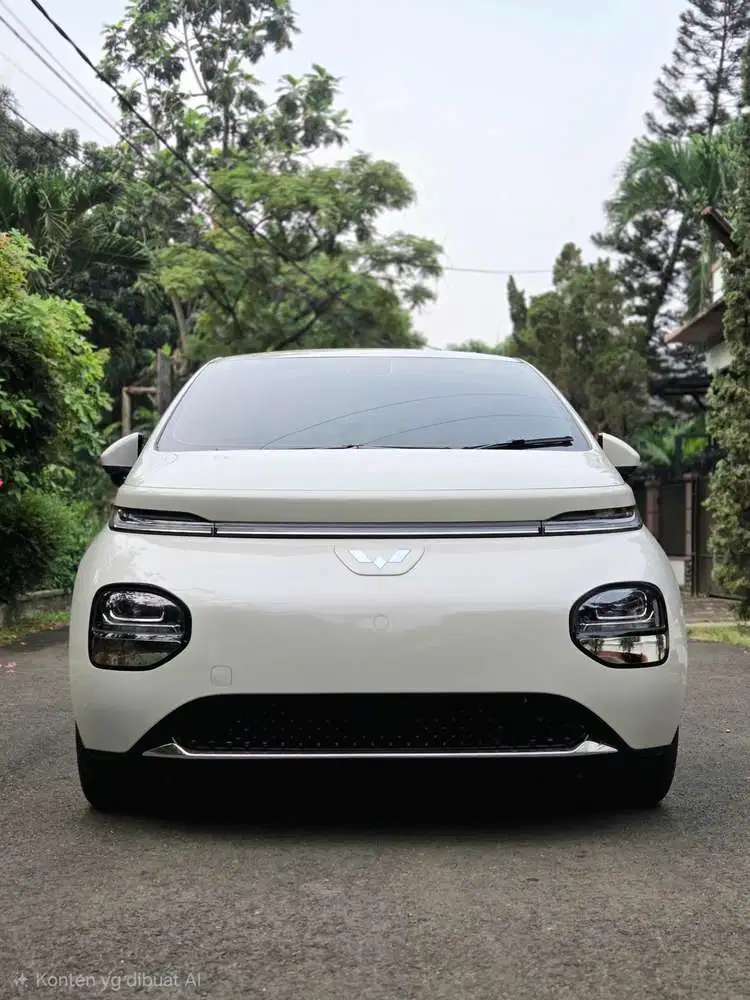 Wuling Cloud EV 2026 ccs2 460km