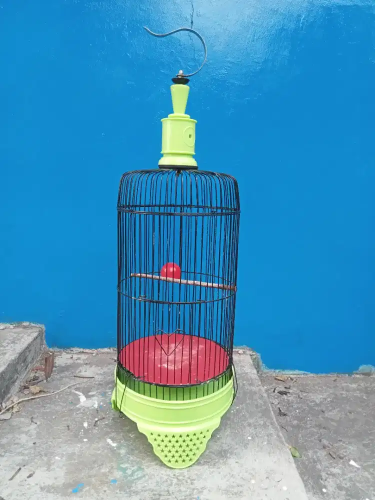 Sangkar burung kecil konin