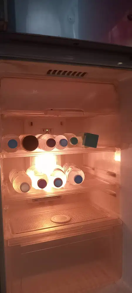 Kulkas LG 2 pintu