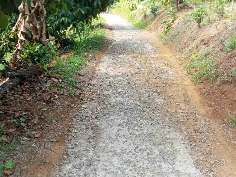 tanah darat kebun