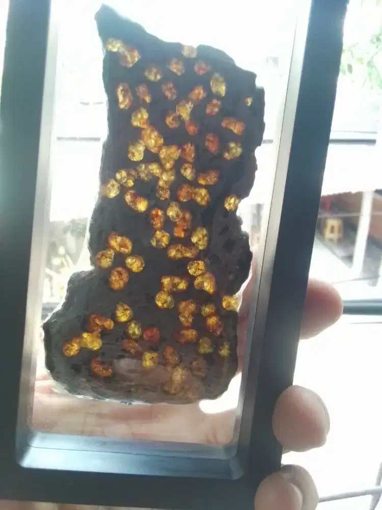 meteorit palasite