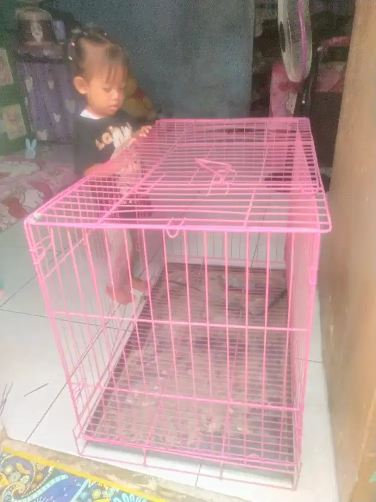 Kandang anjing,kucing dan kelinci