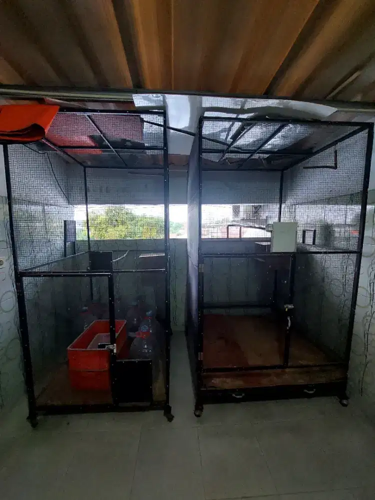 Jual Cepat Kandang Ternak Burung Murai