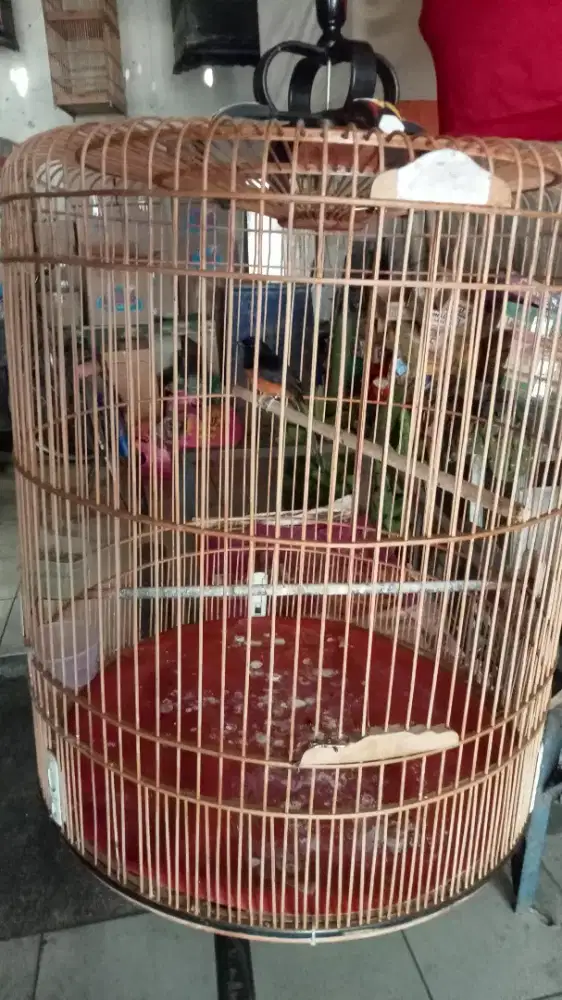 Sangkar burung Muray kondisi masih bagus