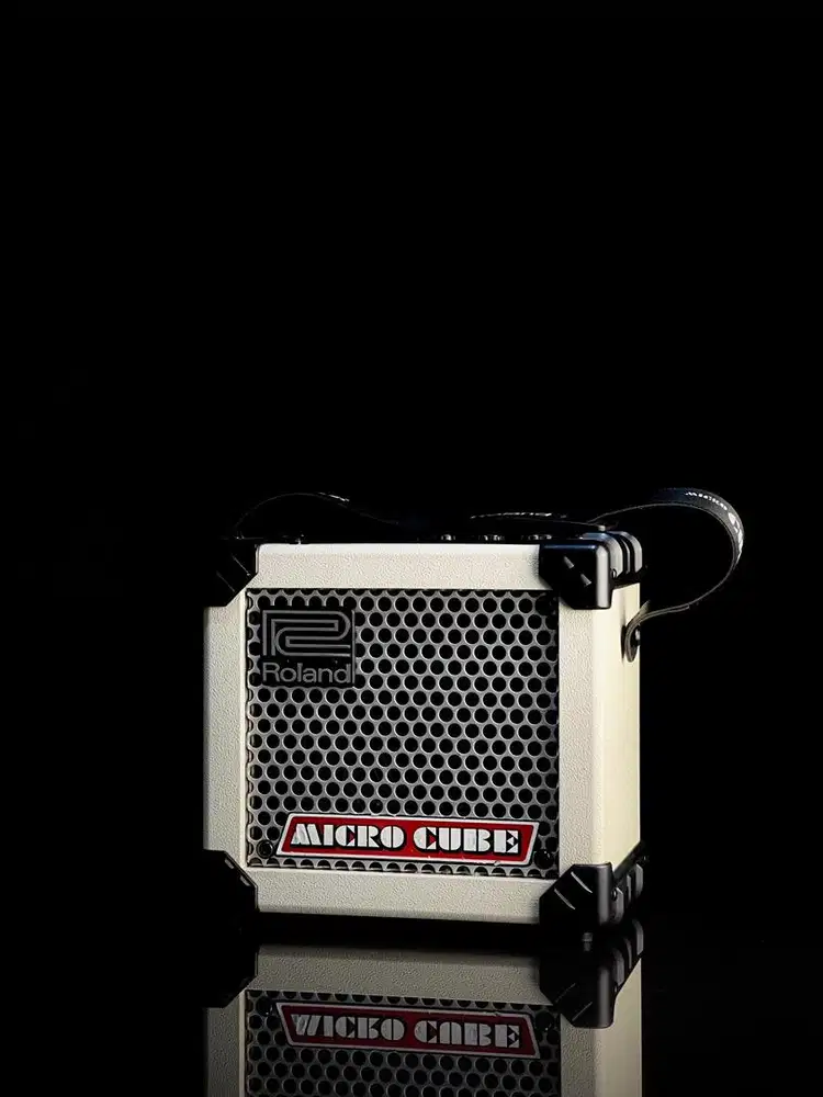 Roland Micro Cube