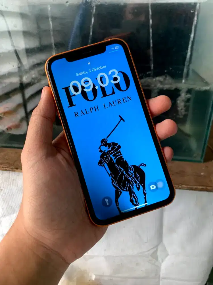iPhone XR 64 GB housing 17 pro