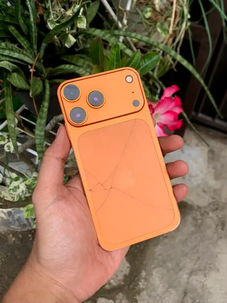iPhone XR 64 GB housing 17 pro orange