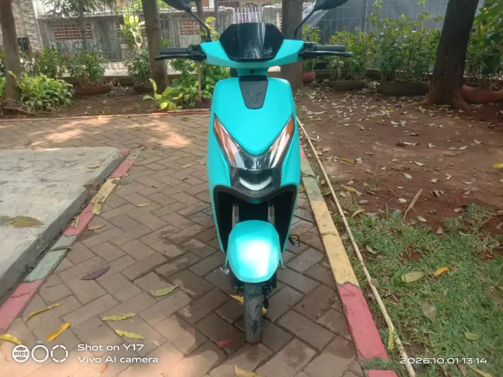 Uwinfly D65 biru