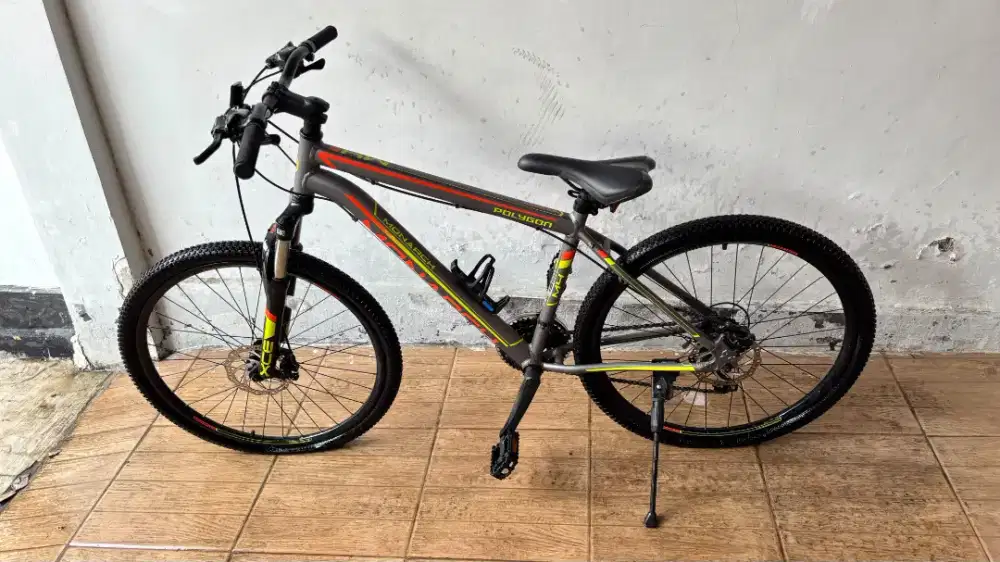 For Sale! Polygon Monarch 4