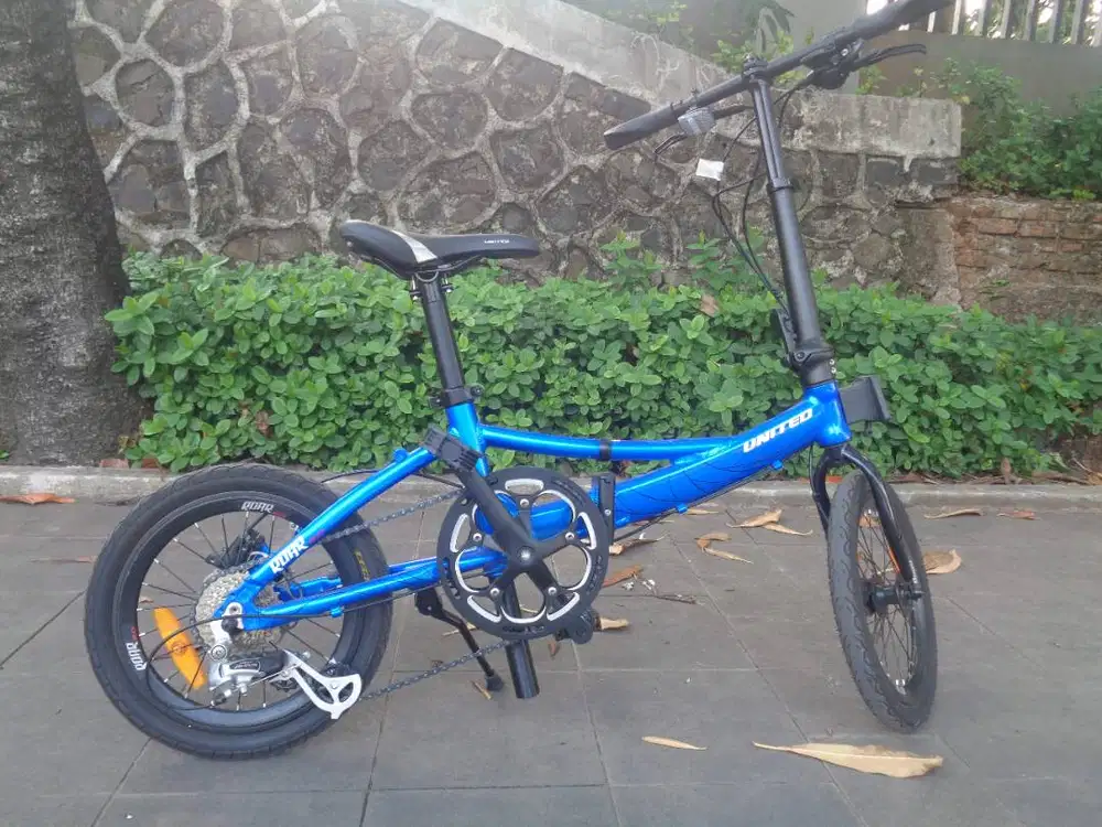 seli 16'' united