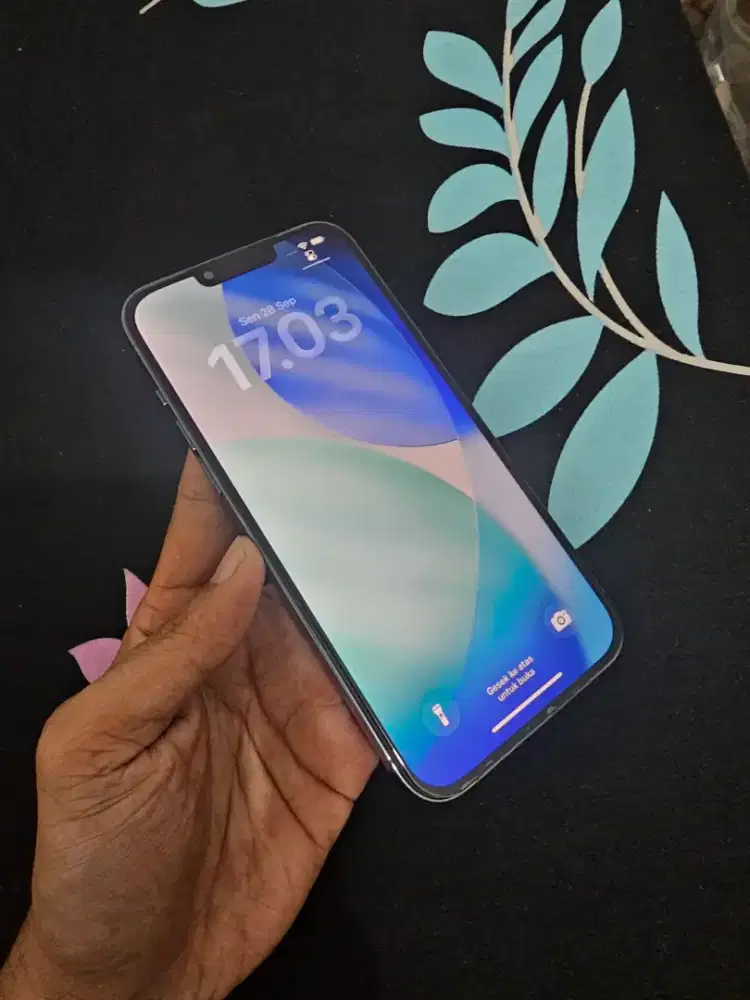 Iphone 13 promax 128 inter all sim bebas reset lengkap normal mulus