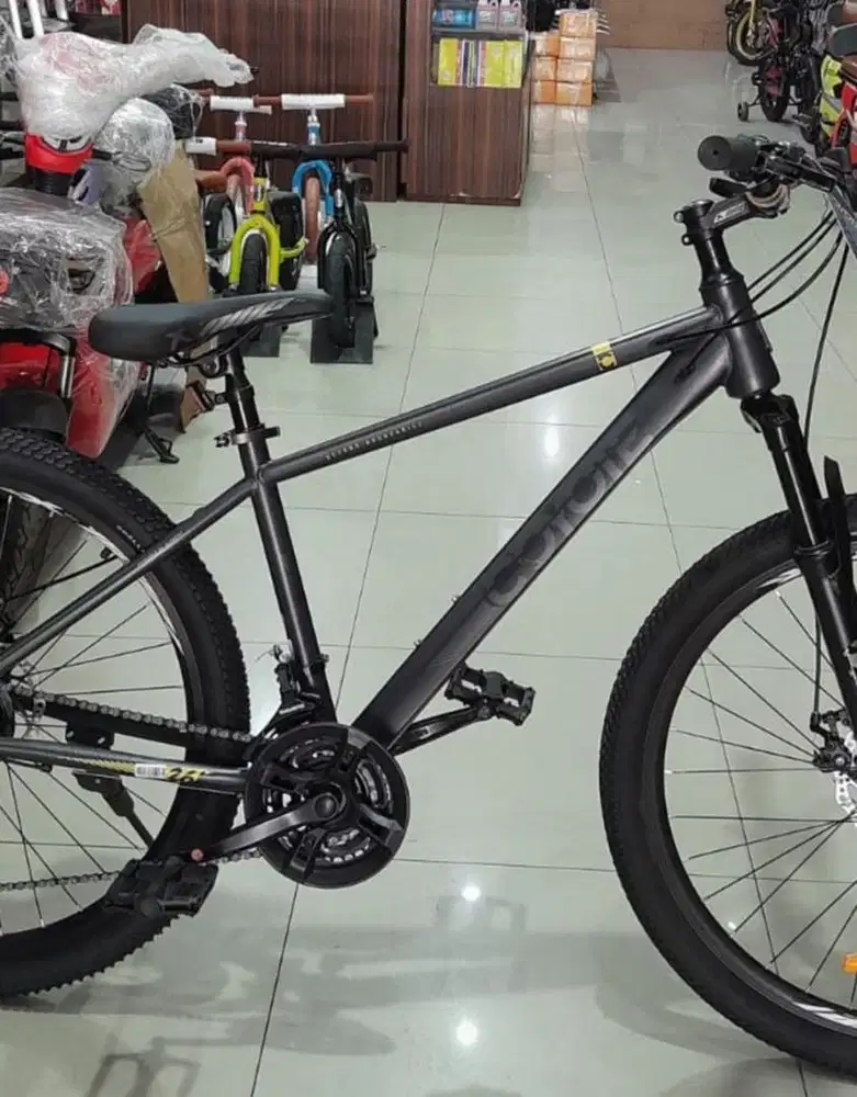 Sepeda gunung (MTB)
