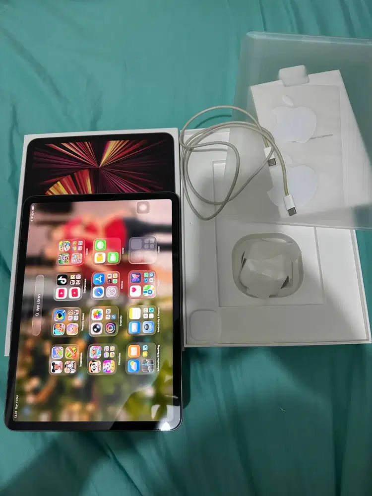 Ipad Pro 11 inch Wi-fi 128GB (3rd Gen) mulus