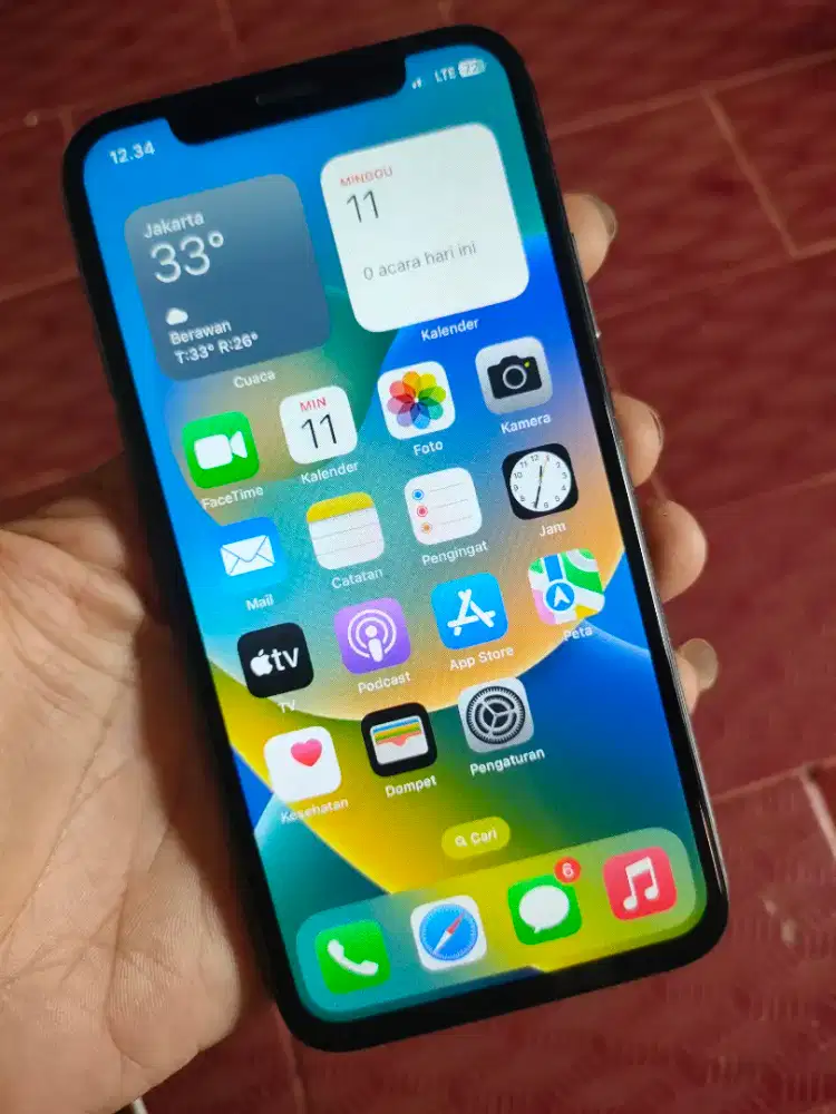 iPhone x 256gb inter