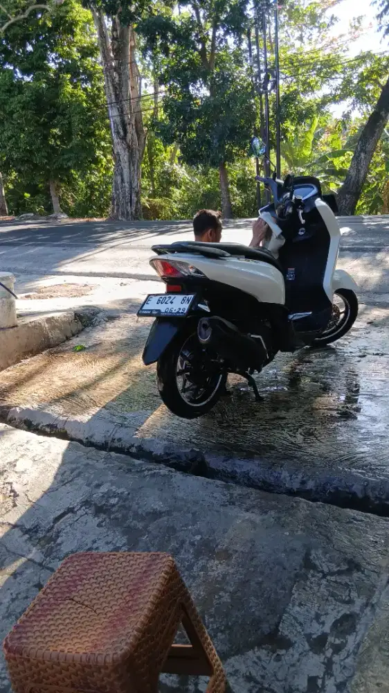 Yamaha lexi 2019