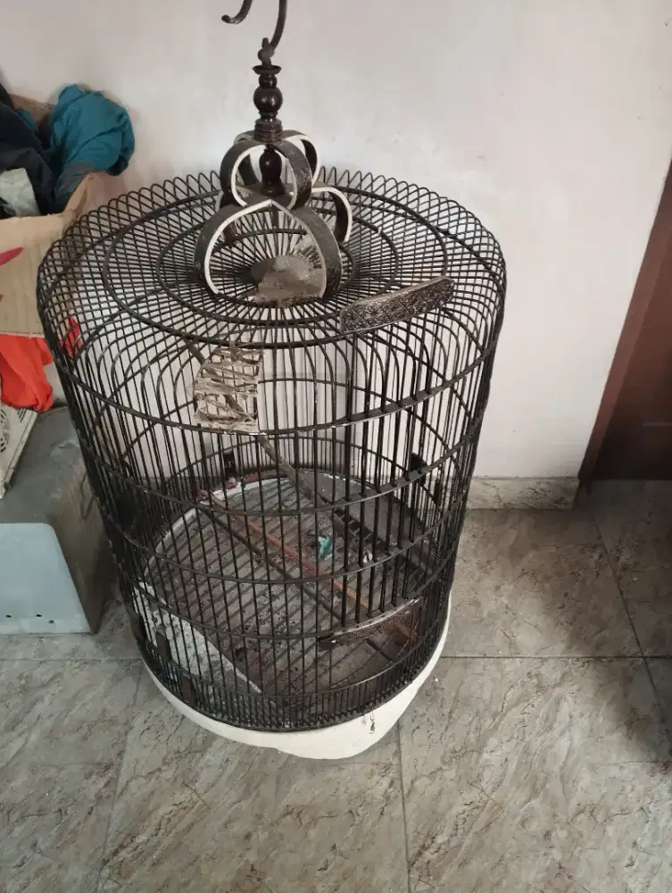 Kandang murai batu no 2