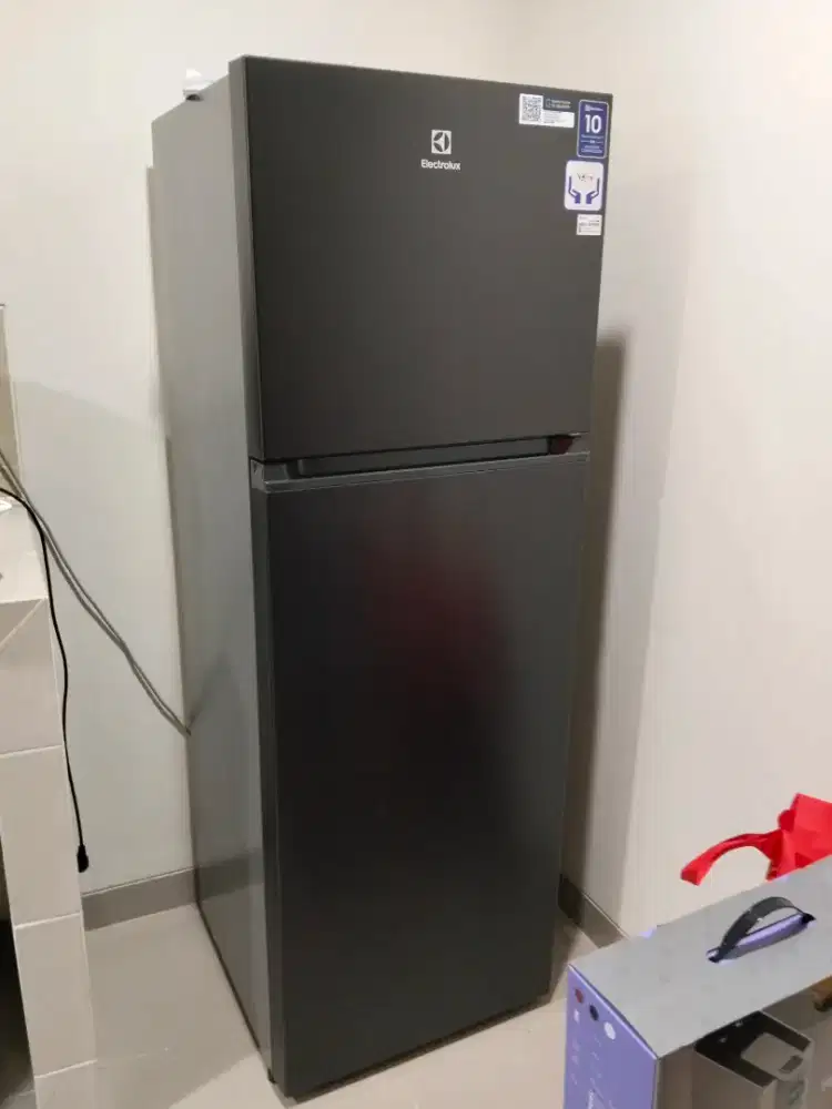 Kulkas Electrolux 2 pintu