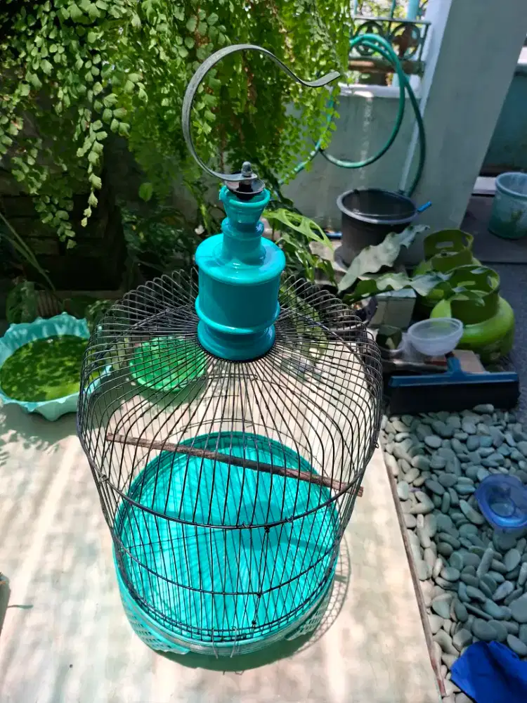 Sangkar burung besi