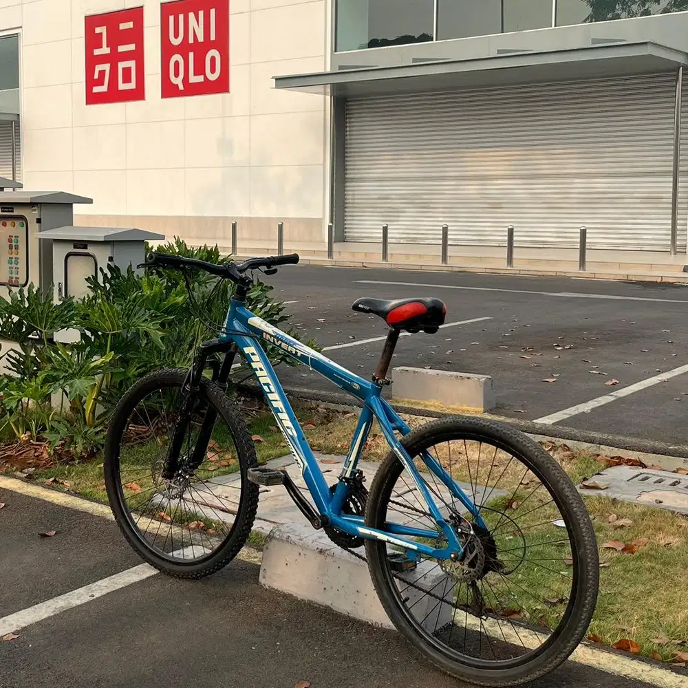 Sepeda MTB Pacific Invert