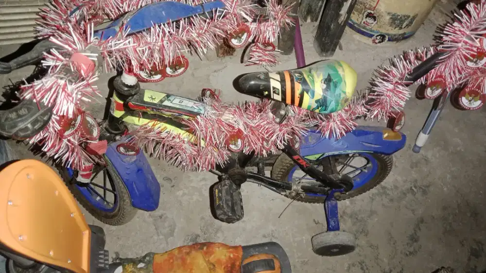 Sepeda anak anak