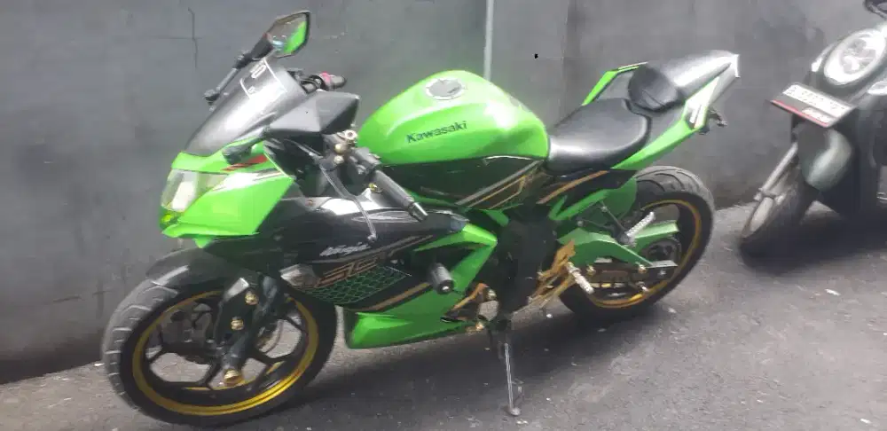 KAWASAKI NINJA 250 SL MONO
