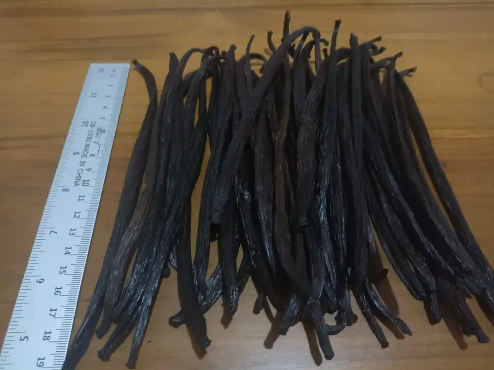 Vanili Planifolia Super organik