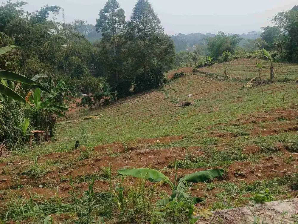 Dijual Tanah Produktif di dekat kantor Desa Ciambar