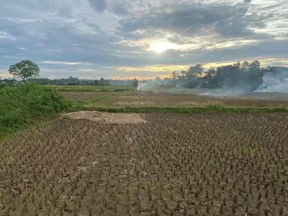 JUAL TANAH PADAT EXS SAWAH LEGOK TANGERANG BANTEN