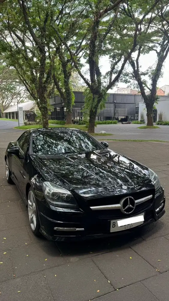 (RARE ITEM) Mercedes Benz SLK250 AMG Cabriolet 2011