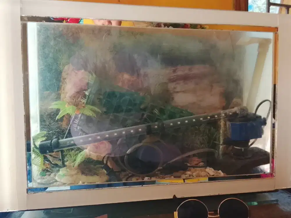 Aquarium 15x50cm