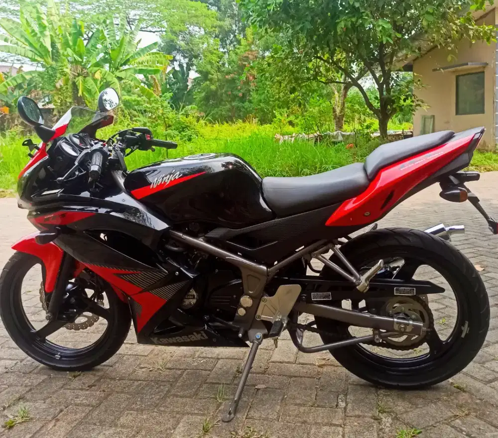 Ninja RR New 2014 Original