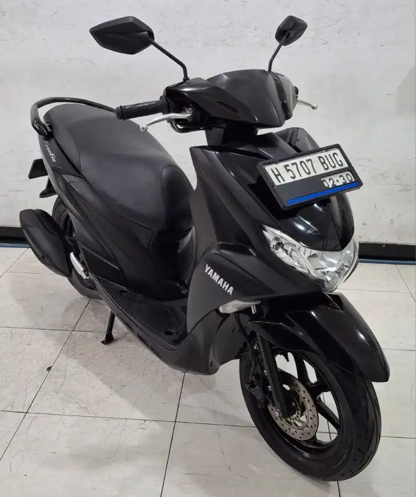Freego Tahun 2019
