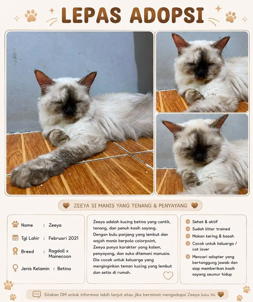 Lepas Adopt kucing
