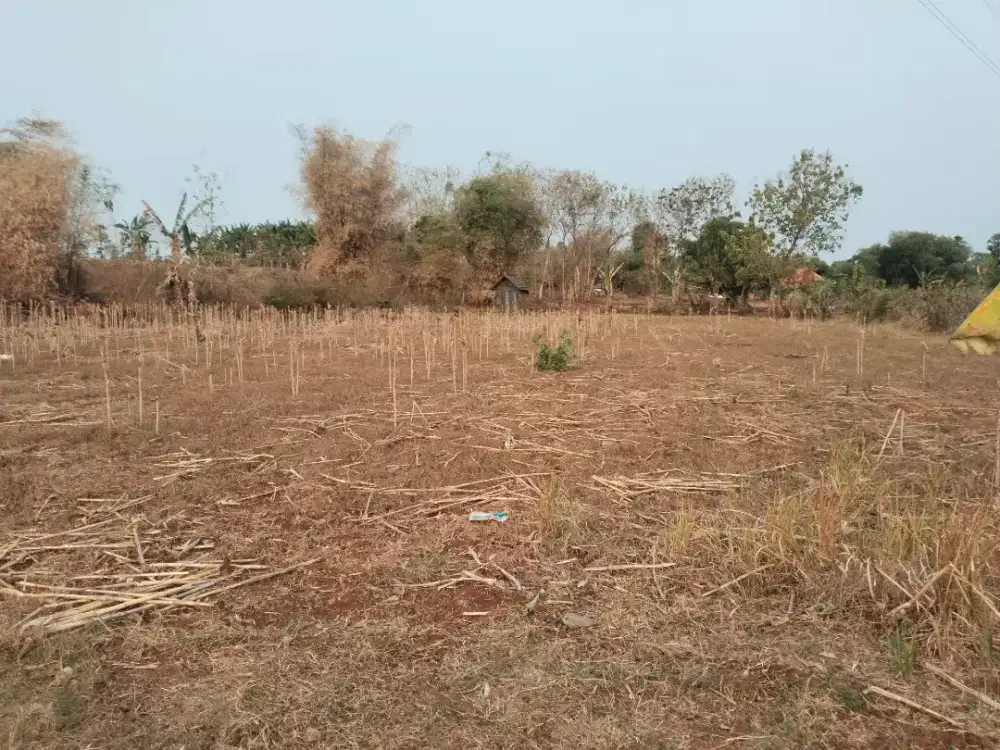 Dijual cepat tanah milik pribadi