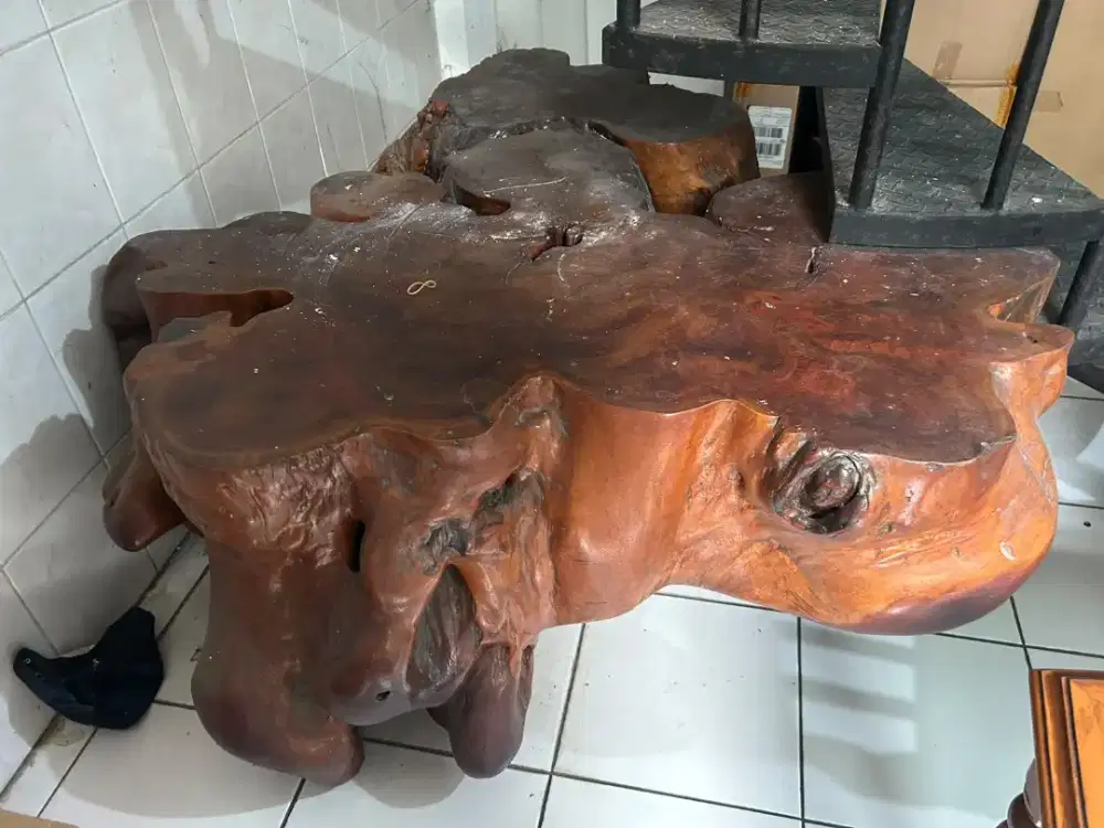 Meja dari akar pohon Jati