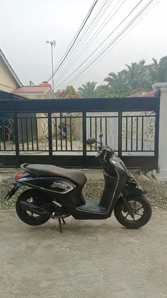 Honda genio tahun 2024