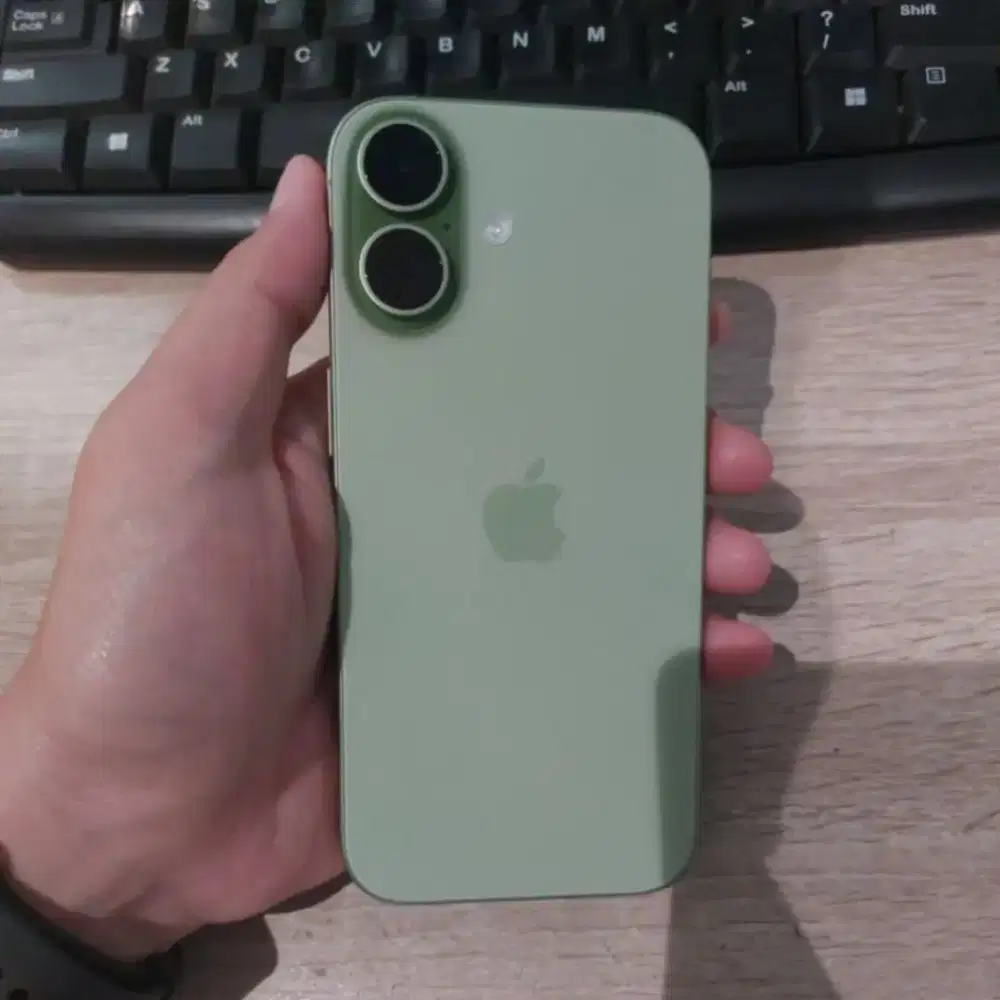 iPhone 17 basic sage
