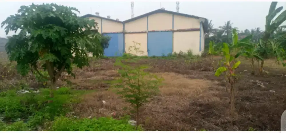 Dijual Tanah dan Gudang di Kibin Serang banten