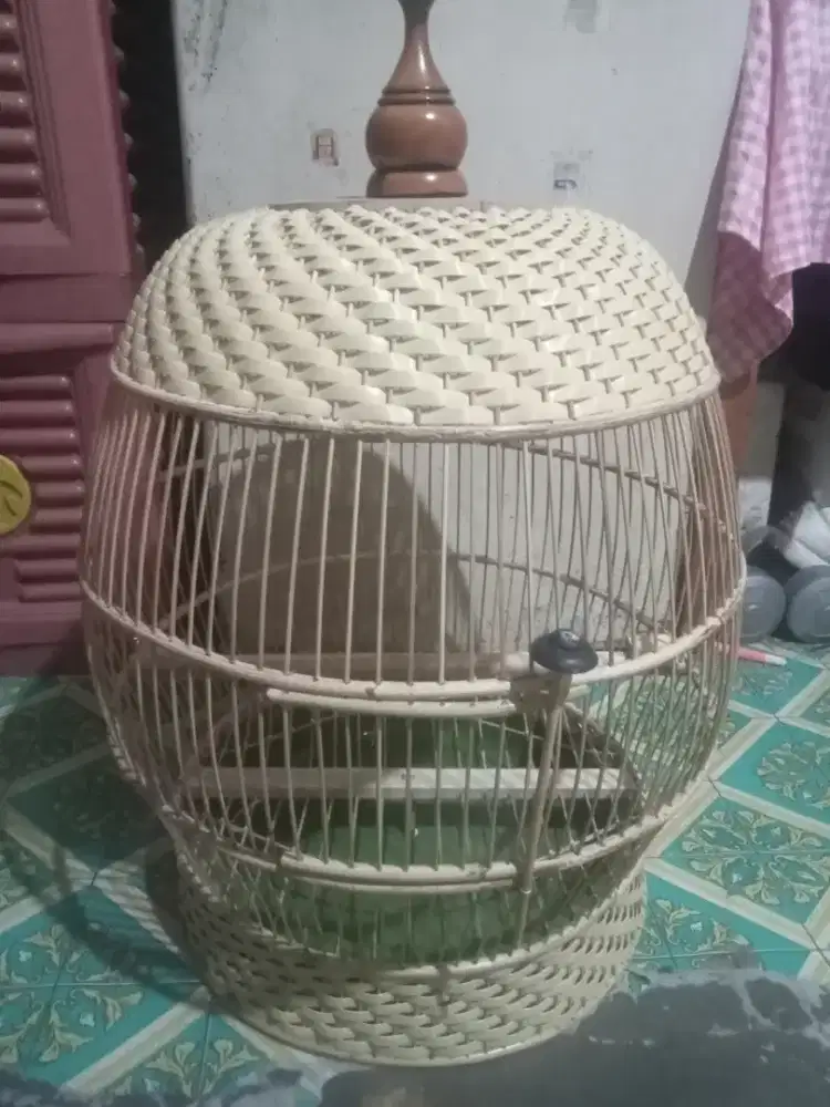 Sangkar tekukur baru