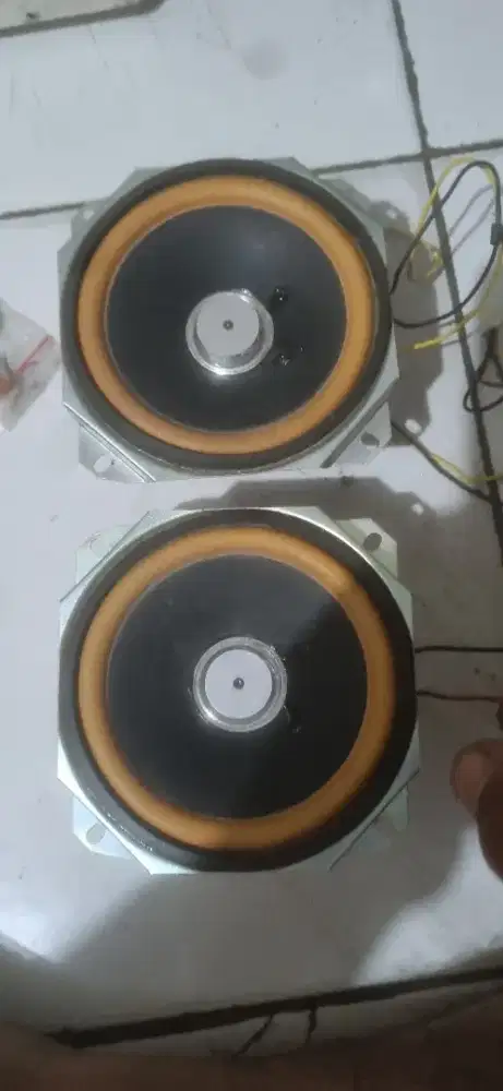 Speaket 4 inch bekas polytron capsul