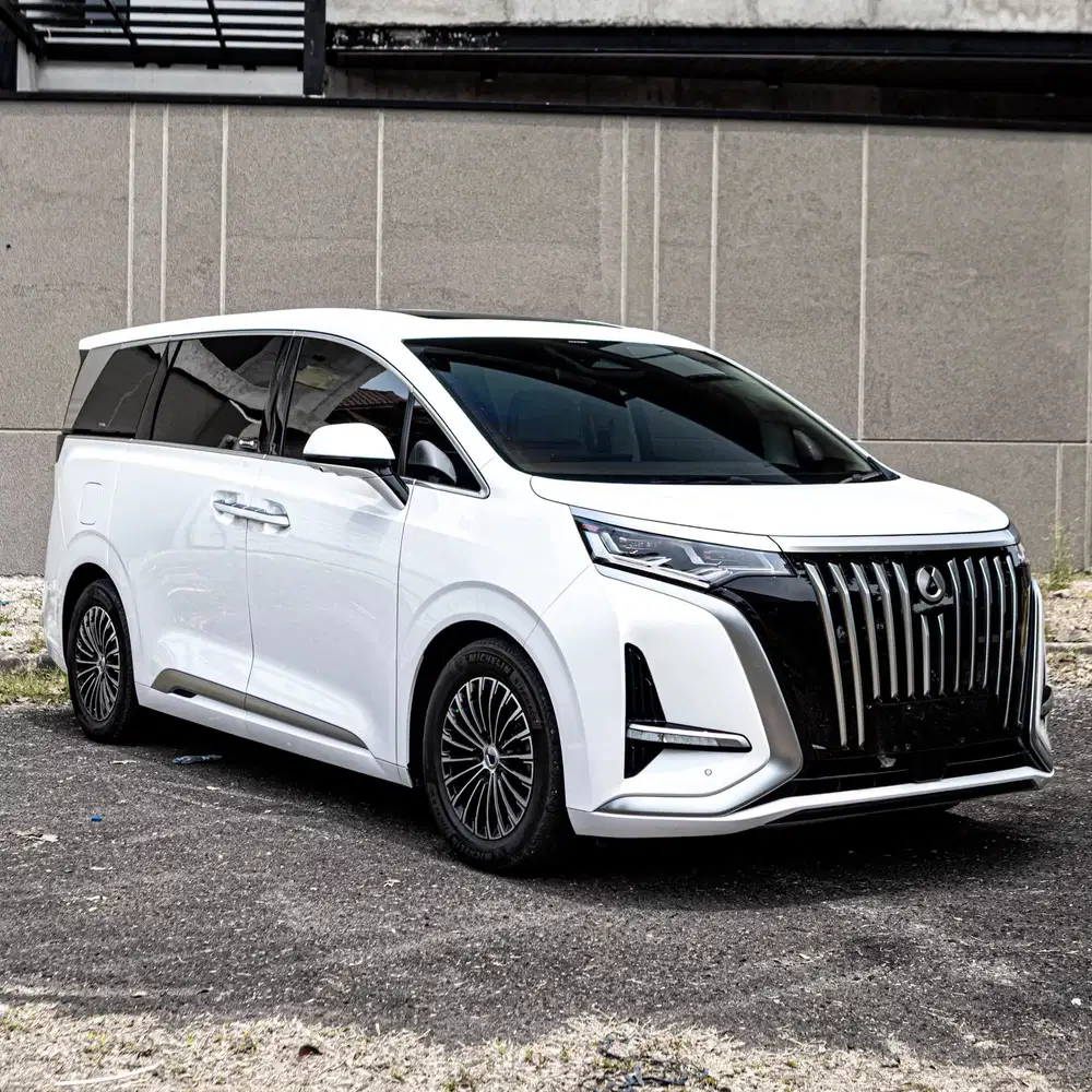 (CASH) BYD Denza D9 EV 2025