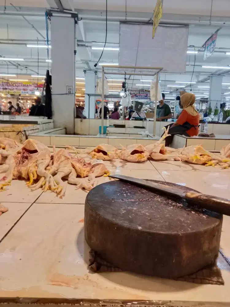 Jual ayam potong